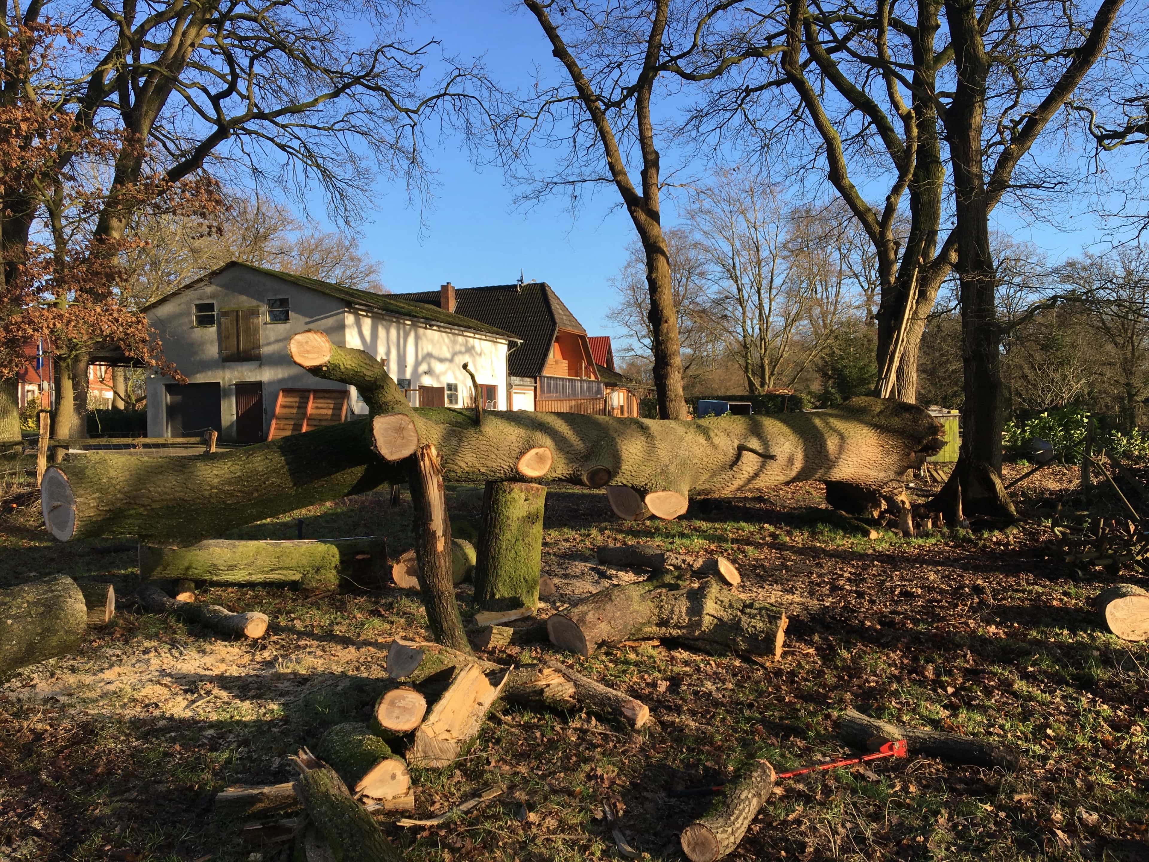 image showing woodwork